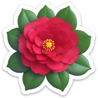 Detailed camellia bloom with formal double form, perfect spiral arrangement of overlapping deep red petals and characteristic glossy oval leaves with fine serrated edges sticker