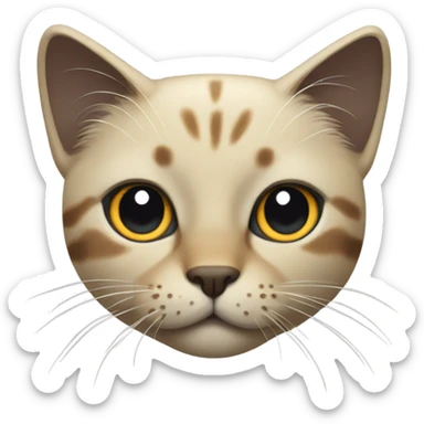 black toitose cat with blonde specks sticker