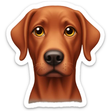 A red lab with matching eyes sticker