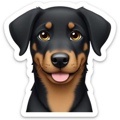 Medium Beauceron puppy with white chest and chin and brown paws and cheeks sticker