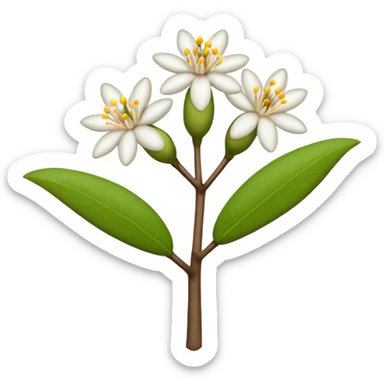 Mangrove Flowers sticker