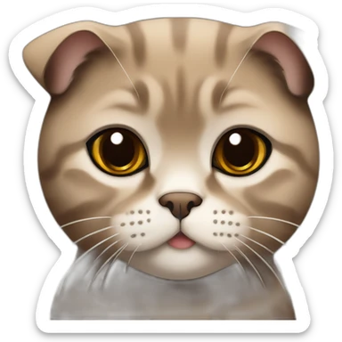 Dark brown and beige Scottish fold breed cat sticker
