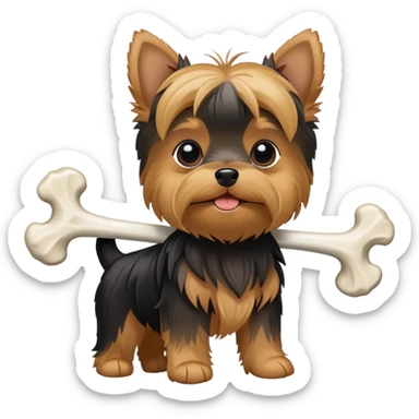 Yorkie with a bone sticker