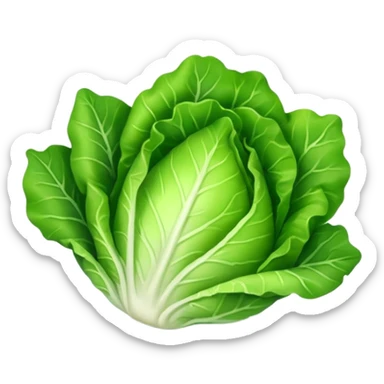 lettuce single  leaf  sticker