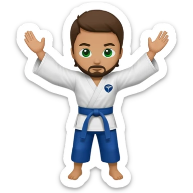 Karate Emoji with Seattle Seahawks Colors sticker