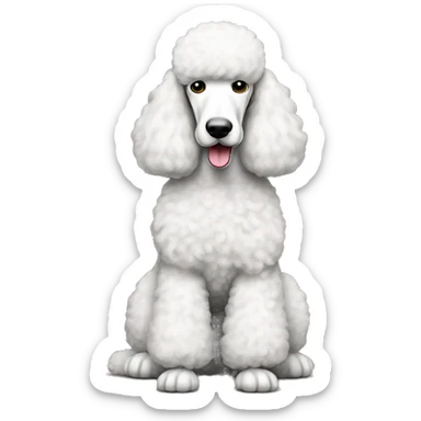 White standard poodle full body sticker