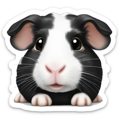 Black with white spots guineapig laying down very cute but realistic sticker