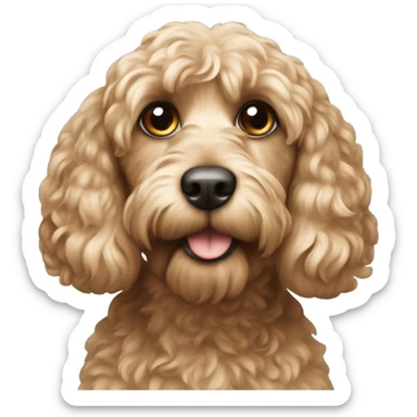 Cockapoo  sticker