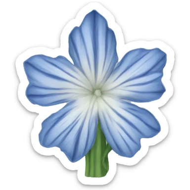 Chicory cartoon sticker