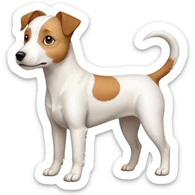 a full body slightly chubby white parson russell terrier looking dog the size of a kelpie with light brown long ears and a light brown patch on one eye and a large snout. the rest of the dog is completely white sticker