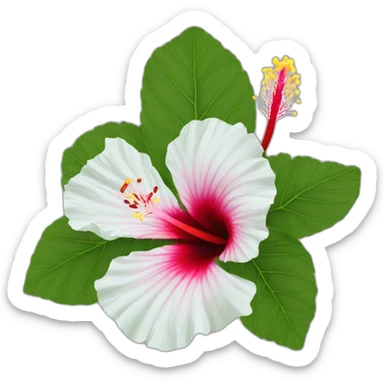 Hibiscus rosa sinensis sticker