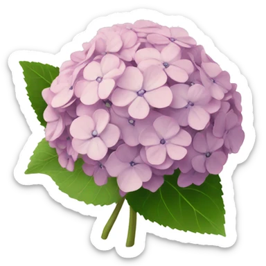 hydrangea sticker