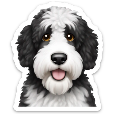 black and white sheepadoodle dog with brown eyes sticker