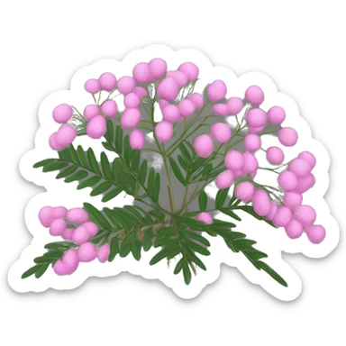 shame plant mimosa podia dormilona moriviví pink flower sticker
