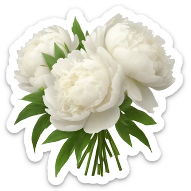 bouquet of white peonies sticker