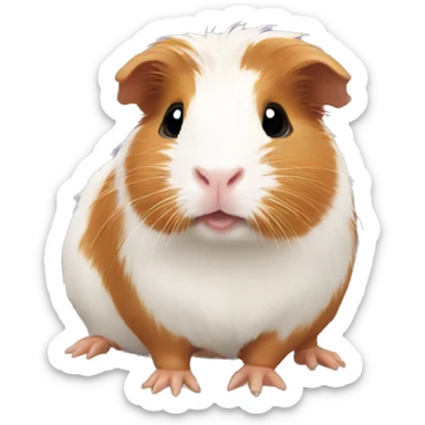 Guinea pig sticker