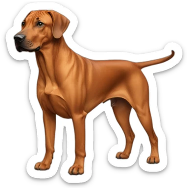 rhodesian ridgeback sticker