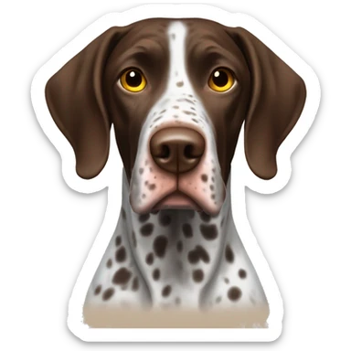 brown gsp dog French Pointer, dark brown roan with eyes, no white spots, nowhite  sticker