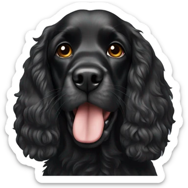 Black cocker spaniel  sticker