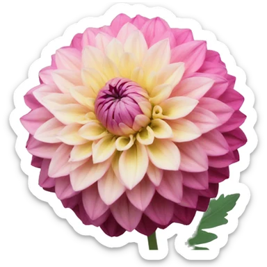 dahlia  sticker