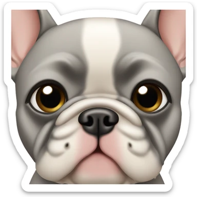  Grey tan  French bulldog with blue eyes  sticker
