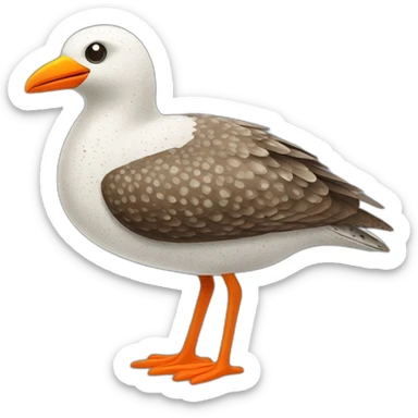 brown and white speckled sea bird with orange beak and legs sticker