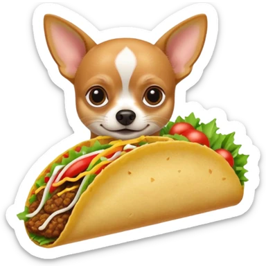 Chihuahua with a taco sticker