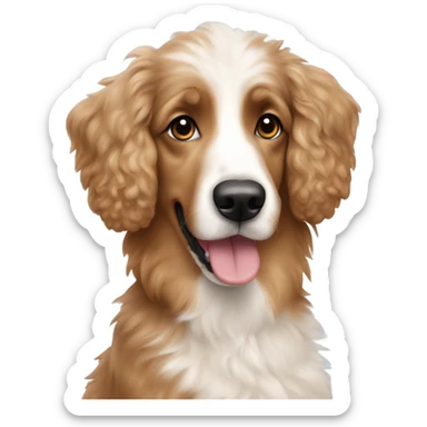 apricot poodle and australian shepard sticker