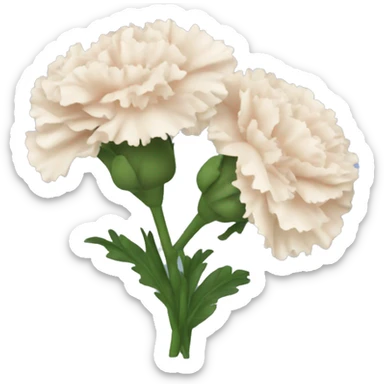 Carnations sticker
