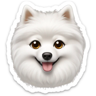 White  little pomerian spitz with brown eyes and black nose  sticker