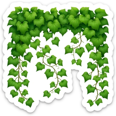 green ivy vine with leaves sticker