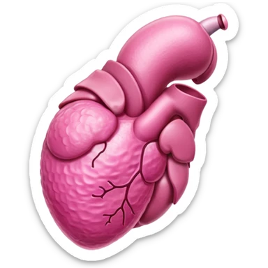 male reproductive organ sticker