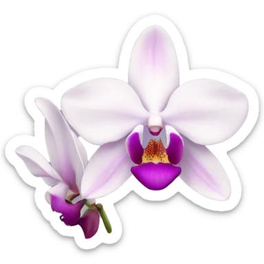 orchid flower sticker