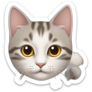 Mon chat avec c'est chaton sticker