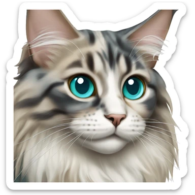 Maine coon dilute Calico half face colored and big turquoise eyes sticker