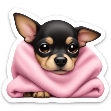 black & tan chihuahua puppy sleeping with a pink blanket  sticker