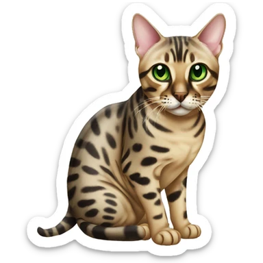 Seal Bengal cat with green eyes sitting sticker