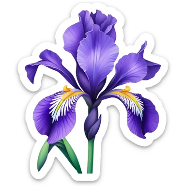 blue flag iris flower sticker