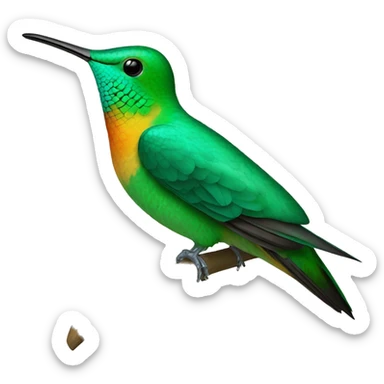 green mango is a large species of hummingbird Reinita Puerto Rico turquoise sticker
