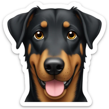 Beauceron sticker