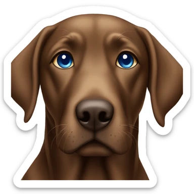 Brown Labrador with blue eyes sticker