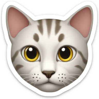 cat with hate sticker