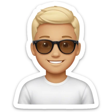 Boy being a Passenger princess sticker