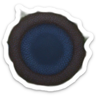 Blue sunflower sticker