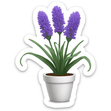 Lavender flower in a white pot  sticker