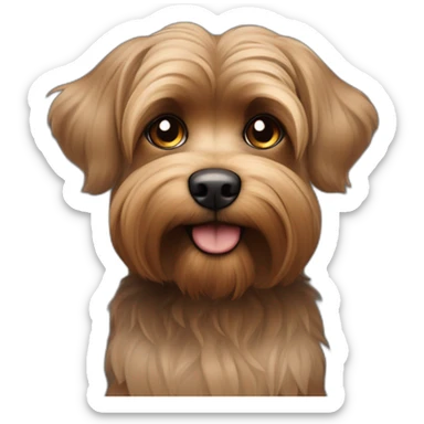 Perro peludo chico tipo yorki feo negro y café oscuro Pelo largo le tapa los ojos sticker