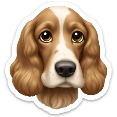 Inglish cocker spanier light brown  sticker
