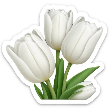 white tulips sticker