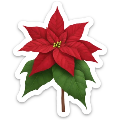 Realistic poinsettia sticker