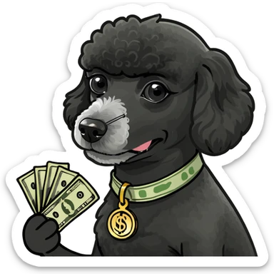 Black mini-poodle with money sticker